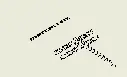 44720.webp